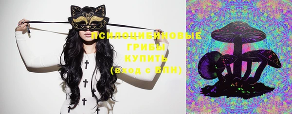 прущая мука Карпинск