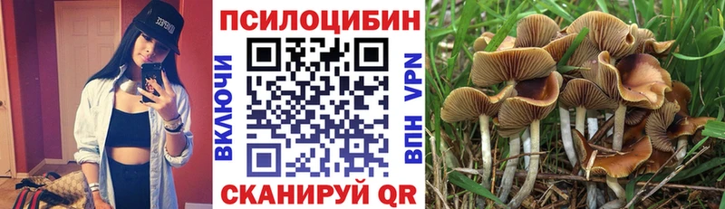 Псилоцибиновые грибы GOLDEN TEACHER  Купить  Бородино 